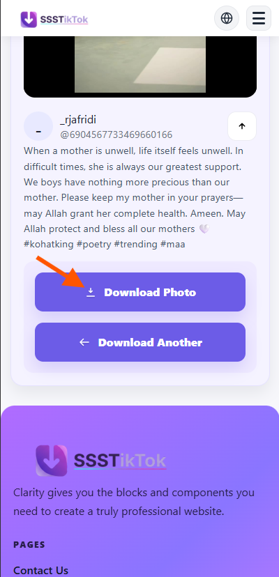 Download TikTok Photos